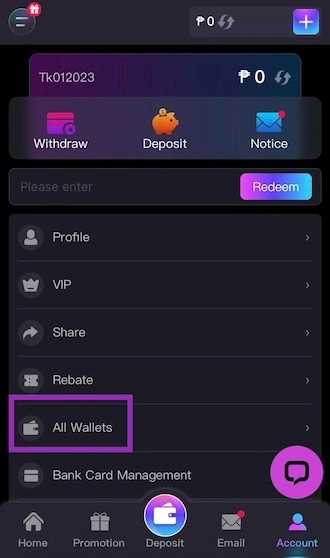 Go to All Wallets option